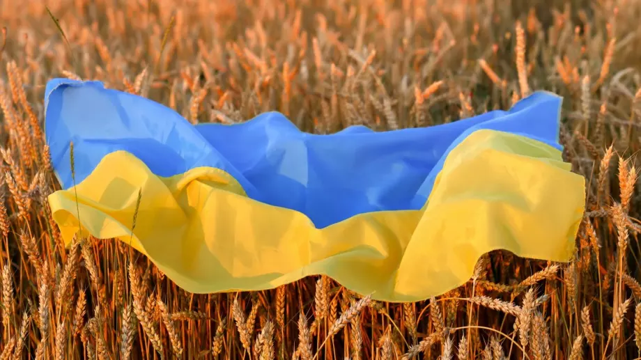 ЕС предлага удължаване забраната за внос на зърно от Украйна до 15 септември