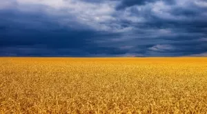 Румъния блокира вноса на украинско зърно за още 30 дни 